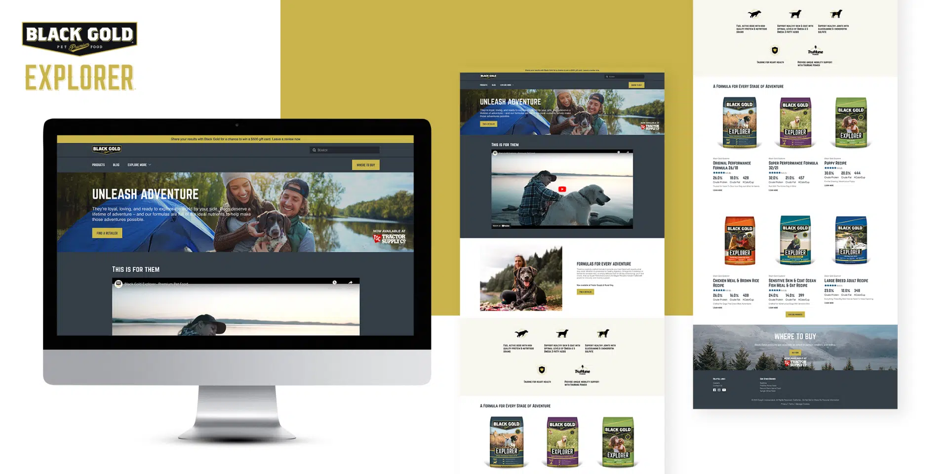 Black Gold Explorer Case Study Screens